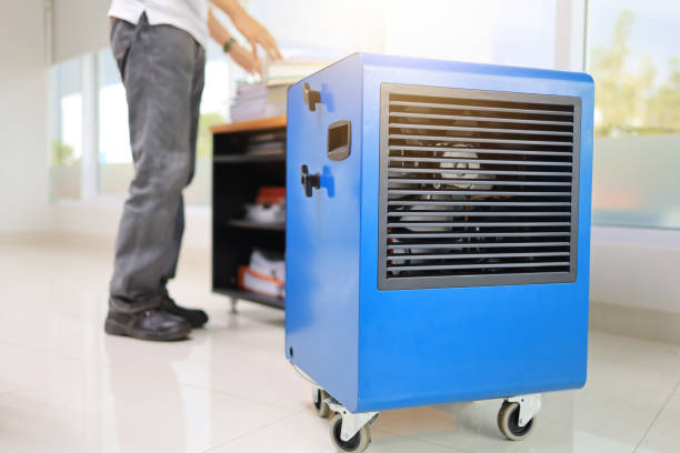 Best Dehumidification Services  in Telluride, CO